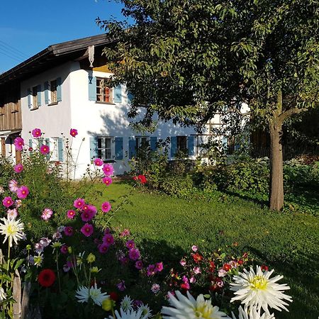Ferienwohnung Hofen 5 Peiting Kültér fotó