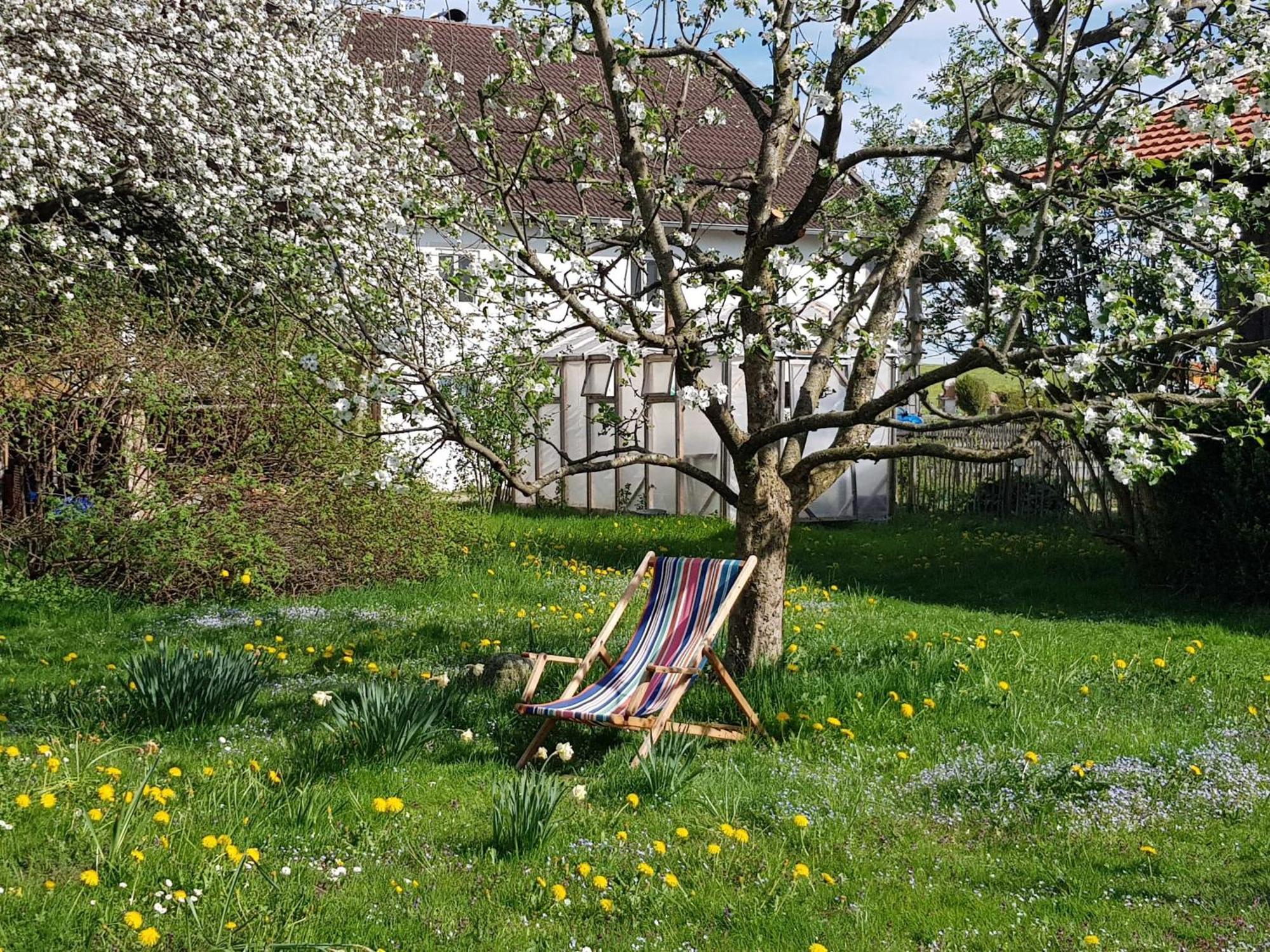 Ferienwohnung Hofen 5 Peiting Kültér fotó